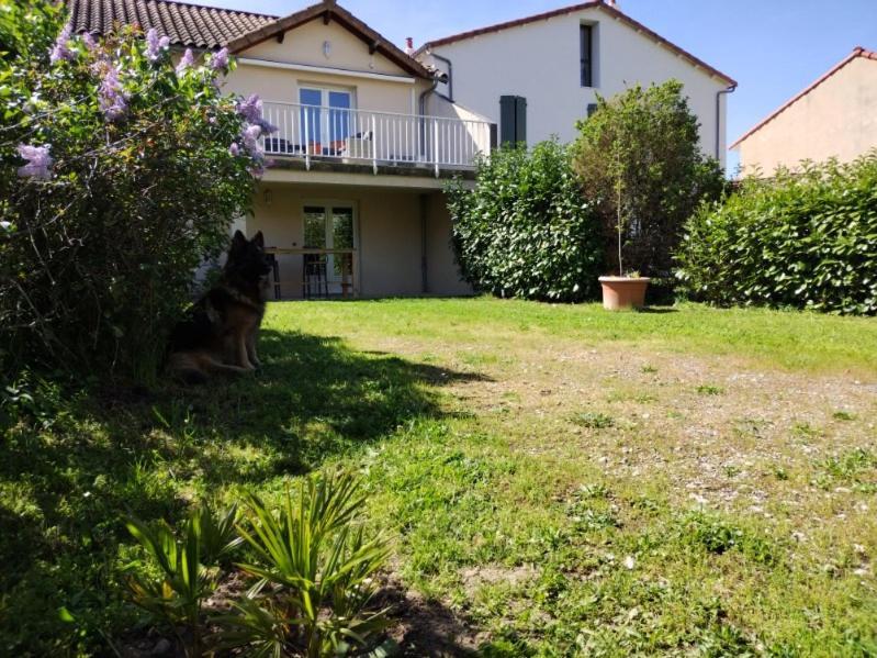 Apartament Le Pigeonnier Millau Zewnętrze zdjęcie